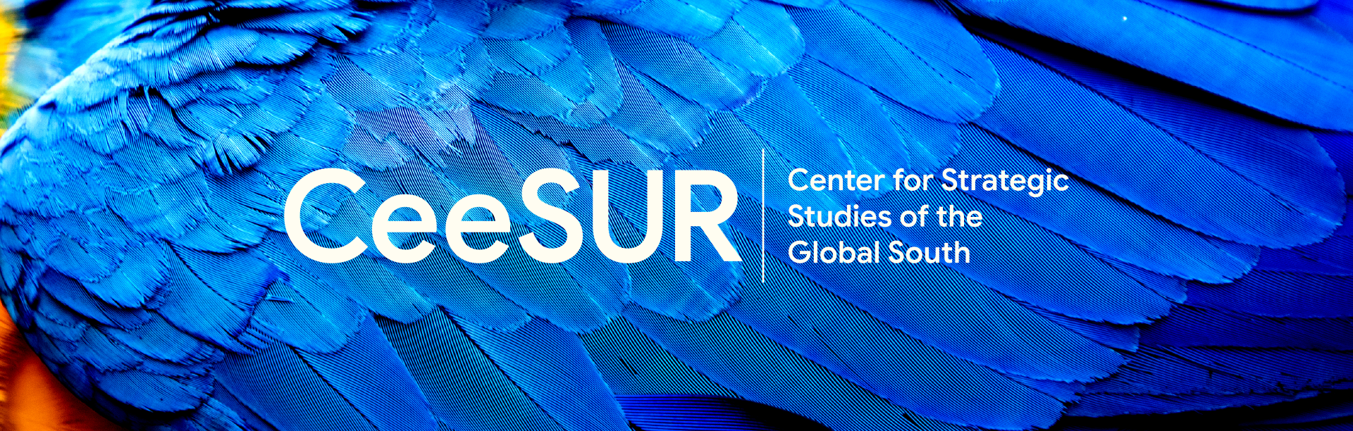 CEESUR - Centro de Estudios Estratégicos del Sur Global